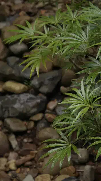 Global Alumni Engagement Manager at Queen Mary University of London