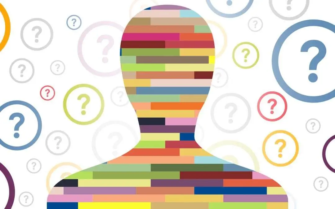 What is the Workplace DISC Assessment?