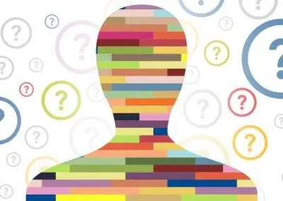 What is the Workplace DISC Assessment?