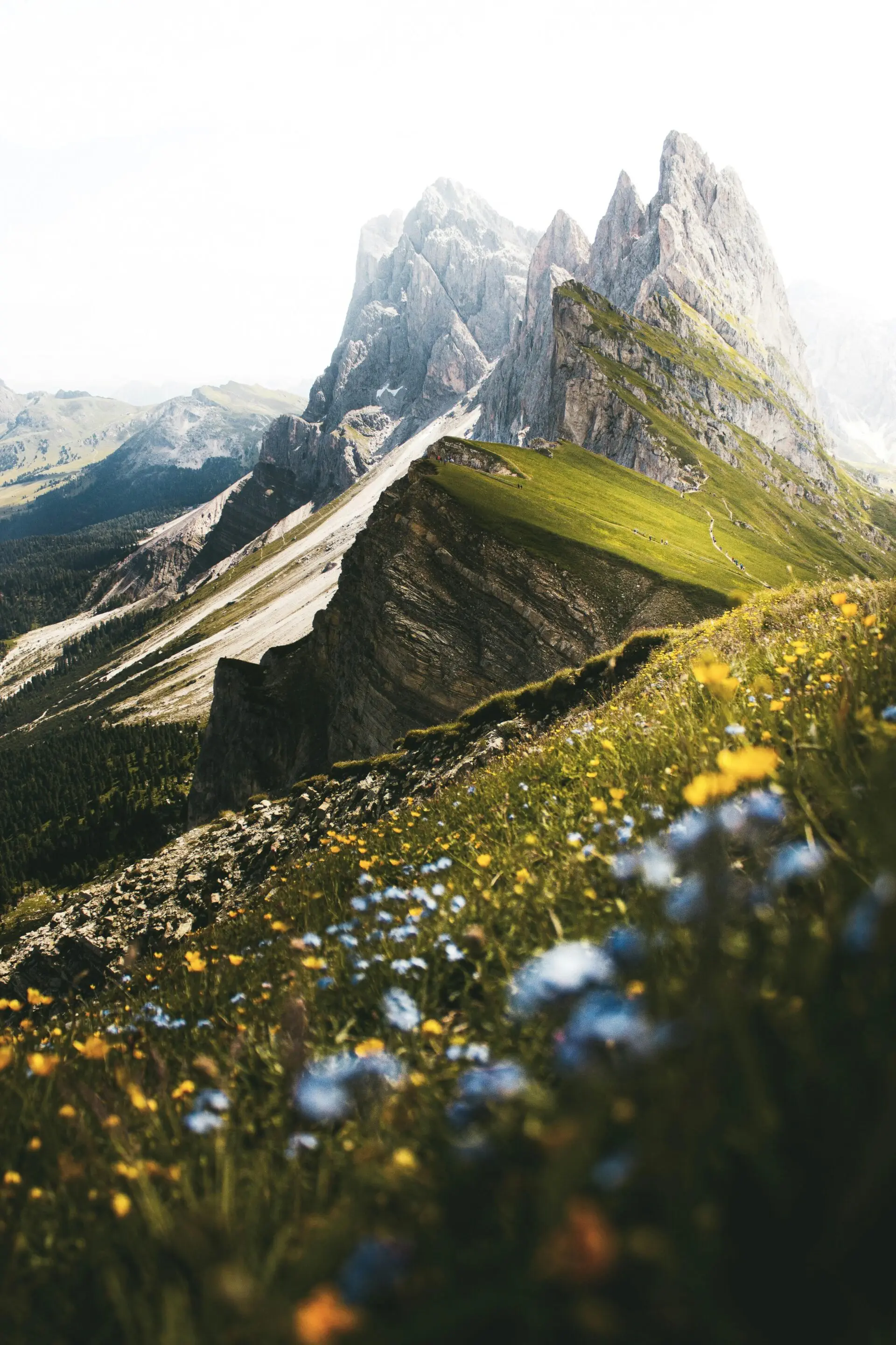 How to Land a Travel Implementation Lead Job at UK Universities: Essential Tips for International Higher Education Careers