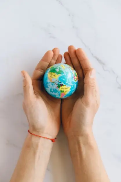 International Relations Coordinator at University of Bath